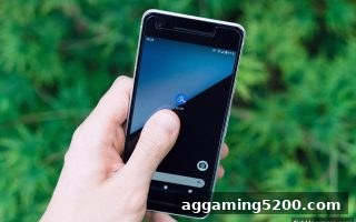 数字货币充值延迟：全网最全排查指南与捕鱼王游戏用户的应对策略