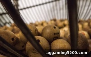 捕鱼王游戏视角下的彩票存送活动：社会文化影响与理性参与指南