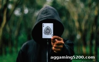 捕鱼王游戏让牌攻略：深度解析麻将中的主动博弈