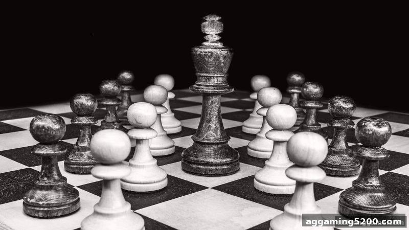 捕鱼王游戏启示录：职业围棋棋手的成长蓝图与生涯解码