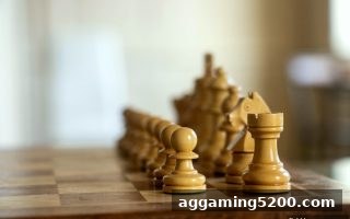 捕鱼王游戏看麻将：竞技博弈的数字化重塑与品牌融合