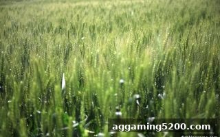 捕鱼王游戏新手必读：ERC20充值激励全攻略与银行卡充值指南