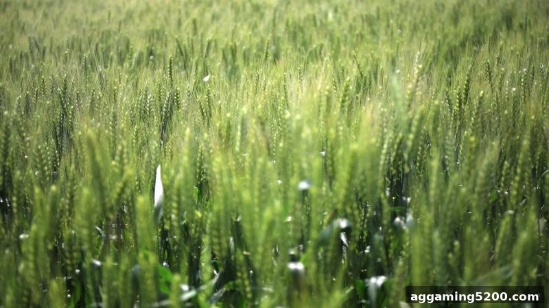 捕鱼王游戏新手必读：ERC20充值激励全攻略与银行卡充值指南