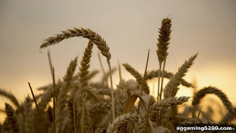 捕鱼王游戏新手指南：首存奖励深度拆解与实战技巧