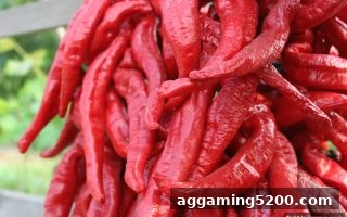 捕鱼王游戏中的洗码返佣机制：从原理到安全评估全解析