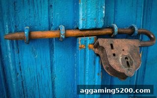 捕鱼王游戏玩家权益保障指南：化解账户异常与争议的实战技巧