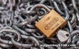捕鱼王游戏启示：风险投资与网络娱乐活动的本质分界