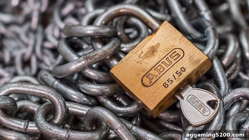 捕鱼王游戏启示：风险投资与网络娱乐活动的本质分界