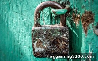 捕鱼王游戏玩家必看：提款手续费深度解析，守护你的每一分盈利