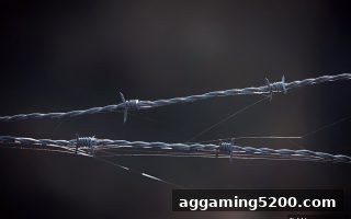 捕鱼王游戏维权全攻略：找准正规渠道，安心畅玩每一步