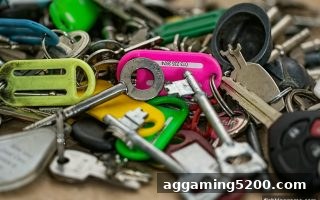 捕鱼王游戏 | 欧博真人平台安全指南：实用技巧助你避开问题平台