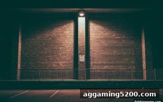 捕鱼王游戏转轴设置深度解析：参数秘密、概率波动与USDT提款全指南